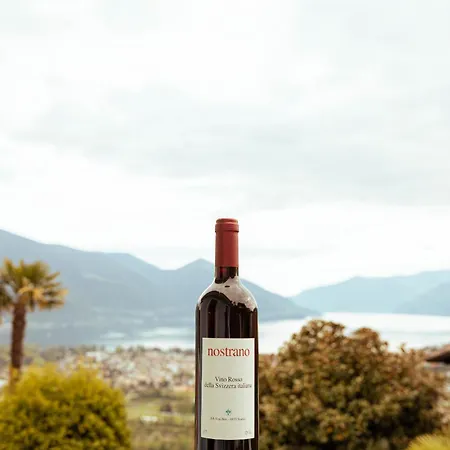 Casa Teatro Panoramico 5 Star House לוקרנו